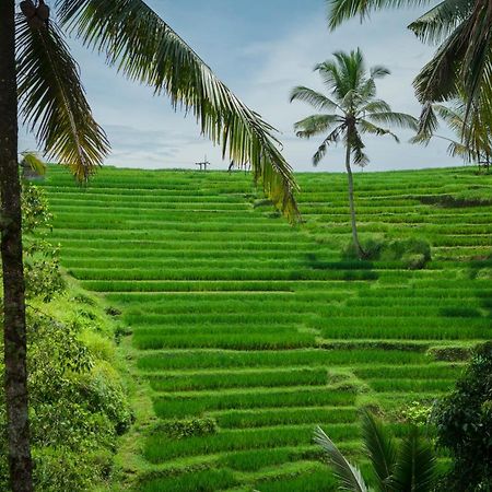 Be Bali Stay Ubud Kültér fotó
