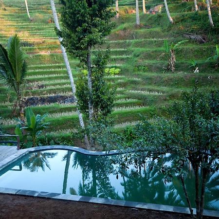 Be Bali Stay Ubud Kültér fotó