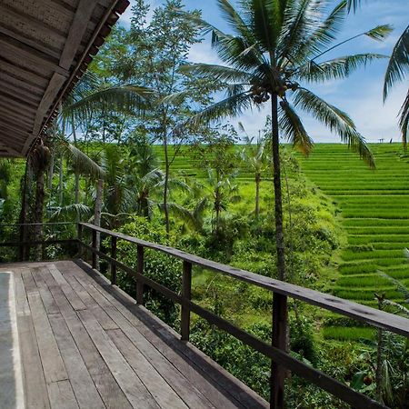 Be Bali Stay Ubud Kültér fotó