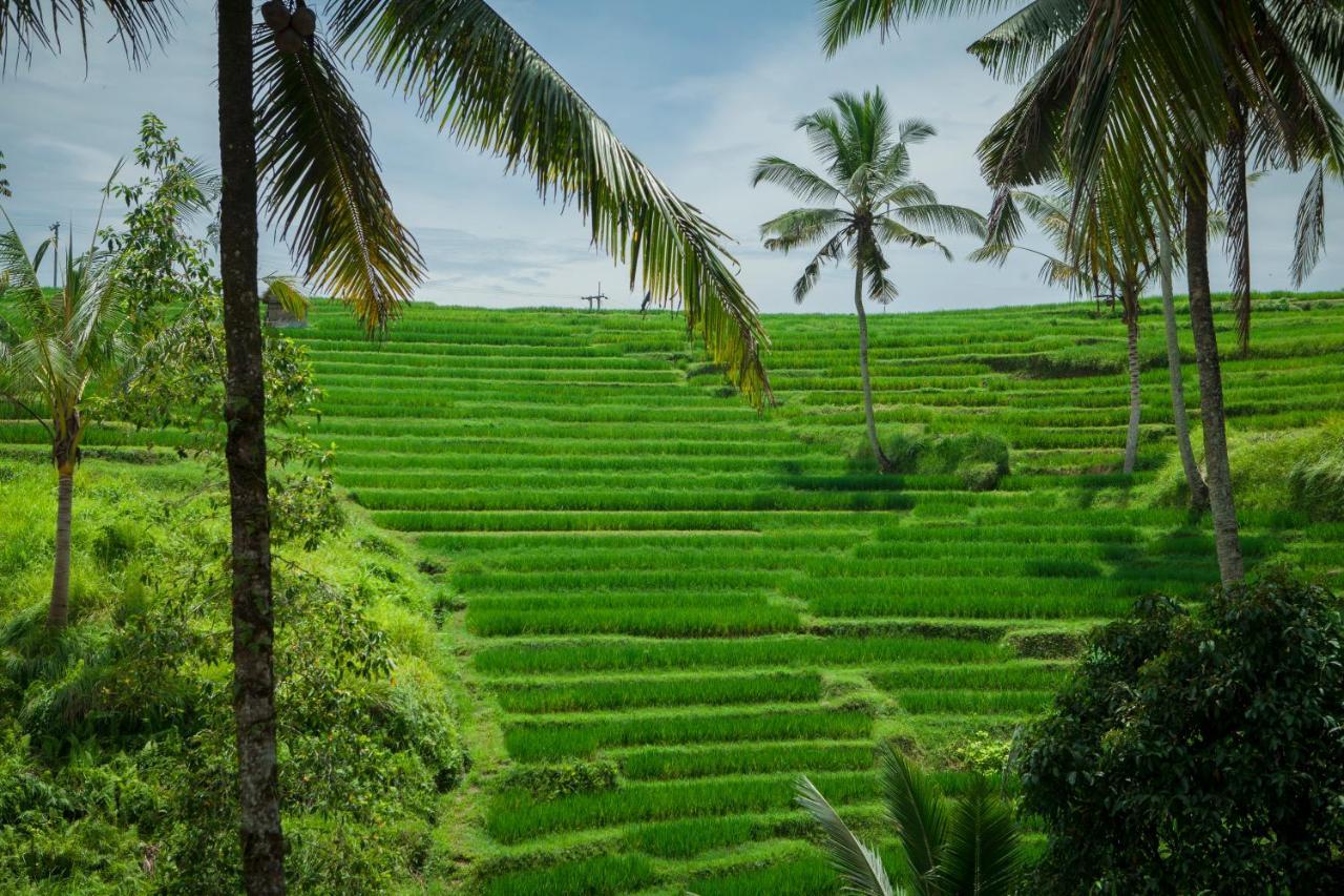 Be Bali Stay Ubud Kültér fotó