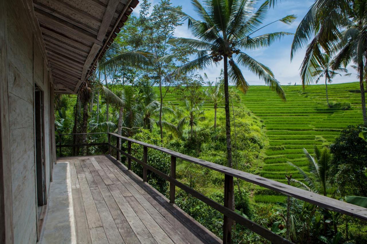 Be Bali Stay Ubud Kültér fotó